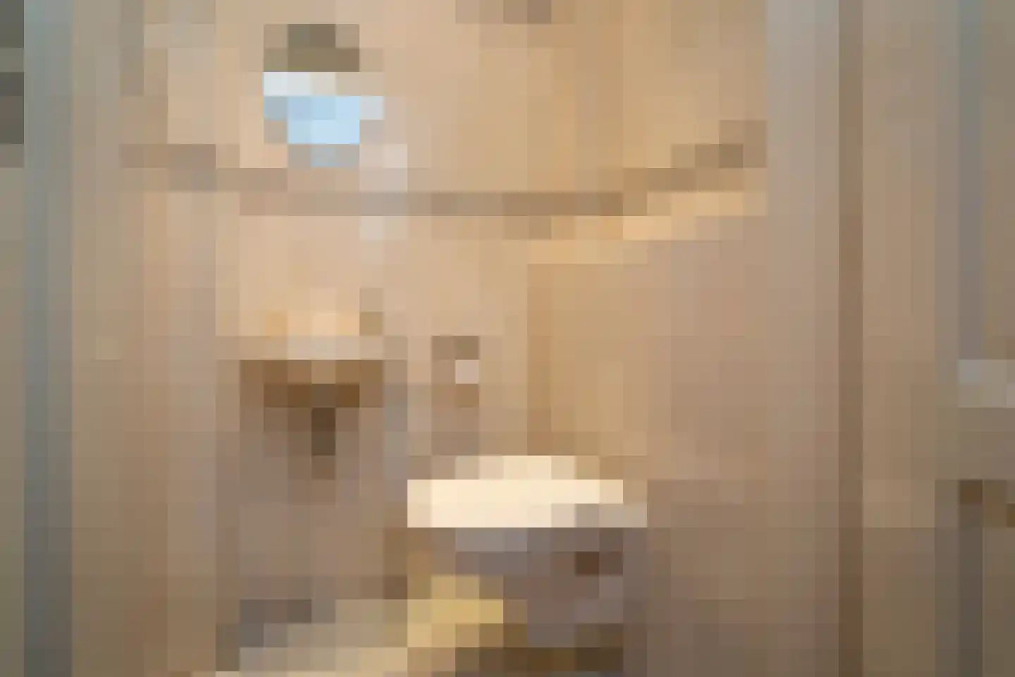 Vincent van Goghlaan 1 Berkel-Enschot thumbnail 12