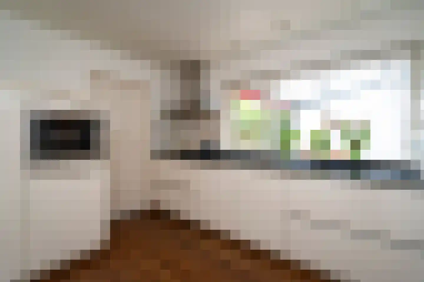 Vincent van Goghlaan 1 Berkel-Enschot thumbnail 20