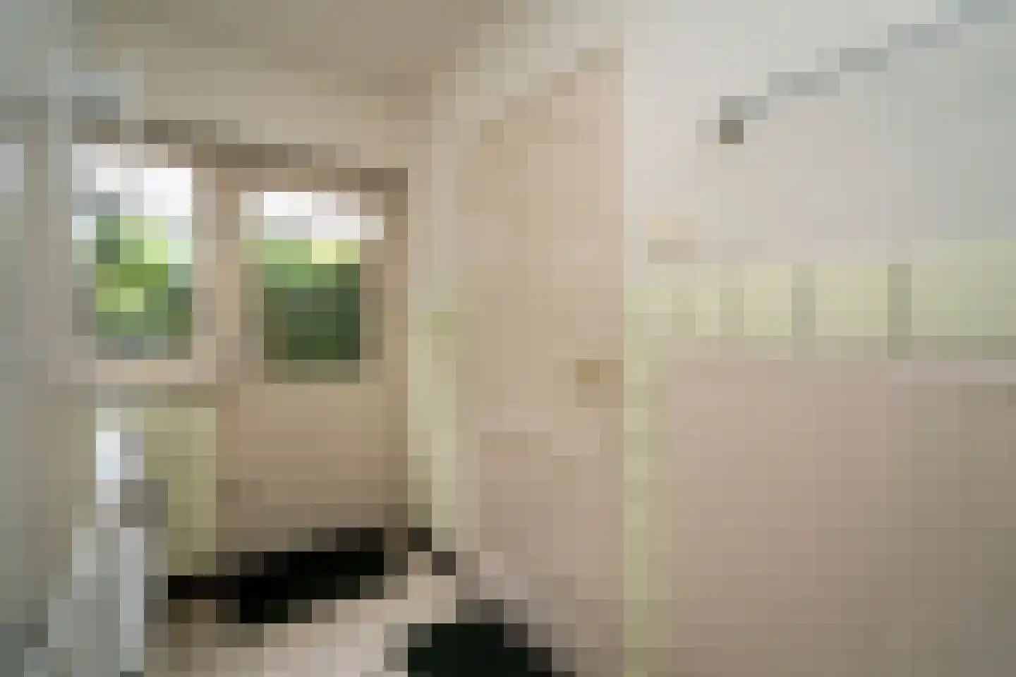 Vincent van Goghlaan 1 Berkel-Enschot thumbnail 21