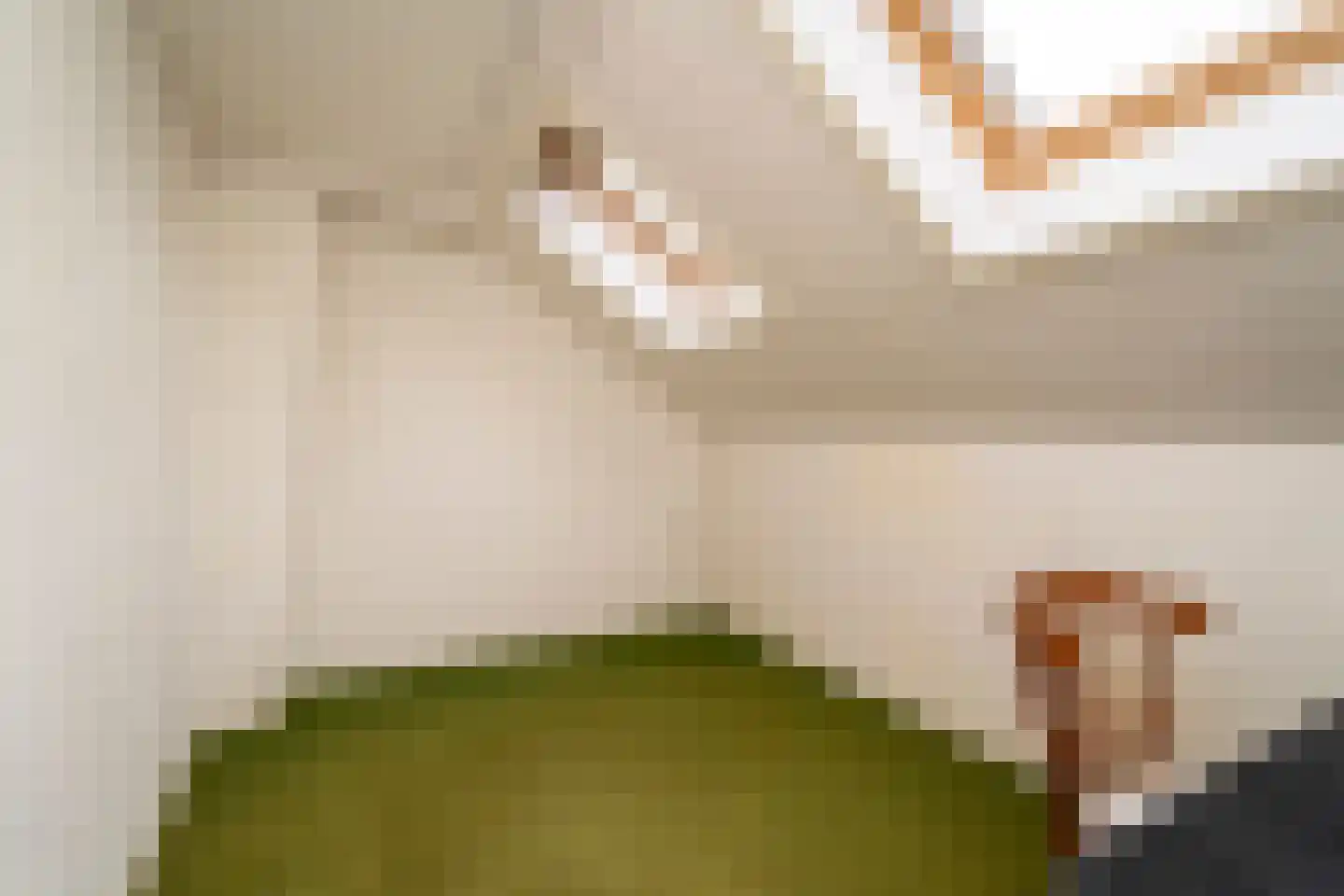 Vincent van Goghlaan 1 Berkel-Enschot thumbnail 38