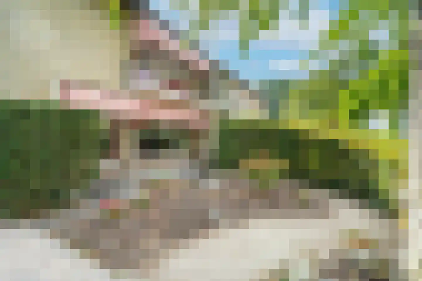 Vincent van Goghlaan 1 Berkel-Enschot thumbnail 8