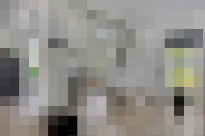 Vincent van Goghlaan 10 Meppel thumbnail 10