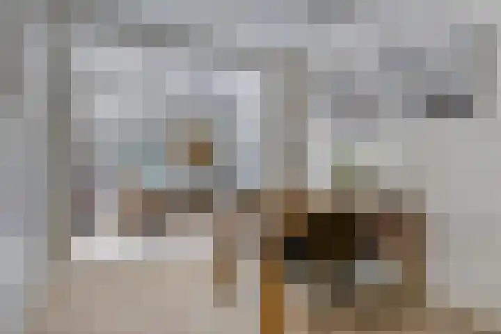 Vincent van Goghlaan 10 Meppel thumbnail 11