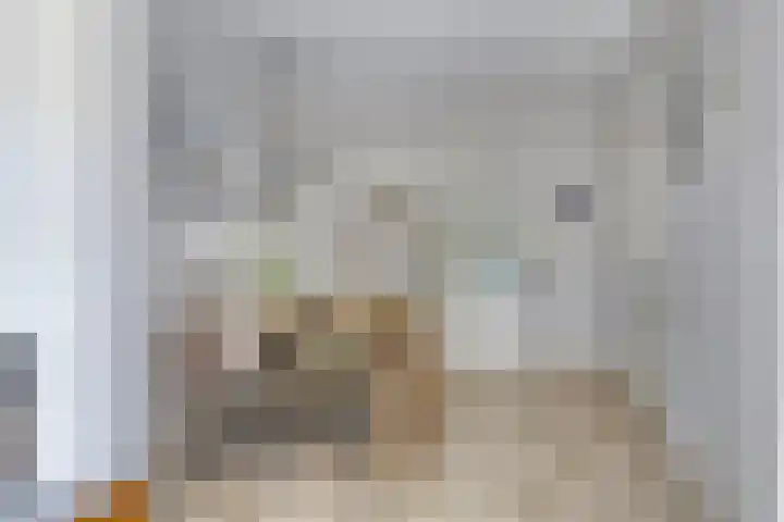 Vincent van Goghlaan 10 Meppel thumbnail 12