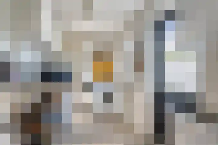 Vincent van Goghlaan 10 Meppel thumbnail 16