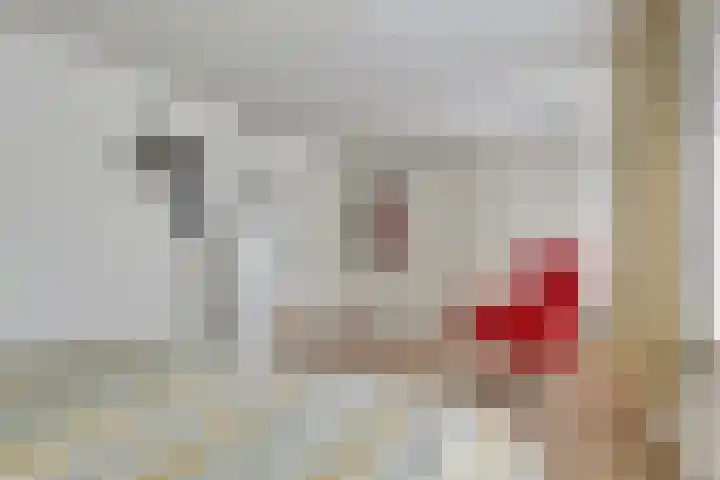 Vincent van Goghlaan 10 Meppel thumbnail 20
