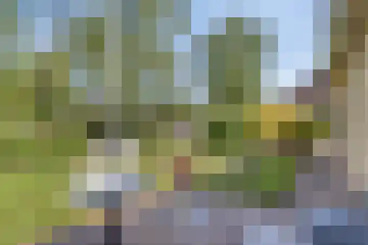 Vincent van Goghlaan 10 Meppel thumbnail 31