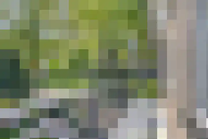 Vincent van Goghlaan 10 Meppel thumbnail 33