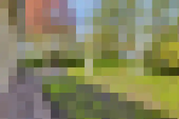 Vincent van Goghlaan 10 Meppel thumbnail 34