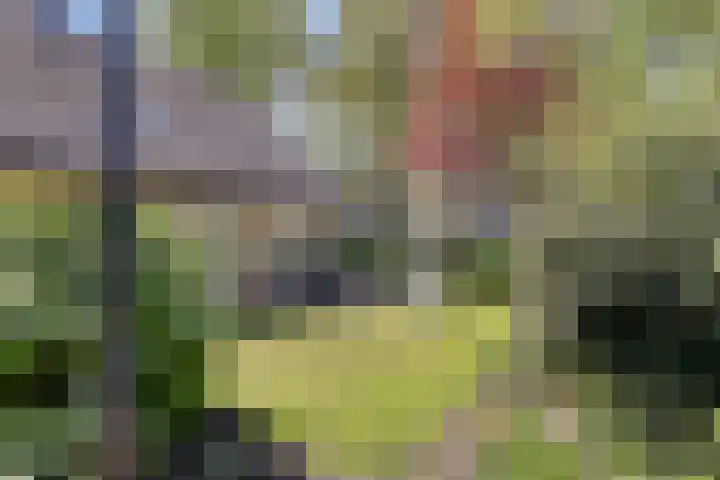 Vincent van Goghlaan 10 Meppel thumbnail 39