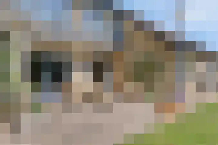 Vincent van Goghlaan 10 Meppel thumbnail 40