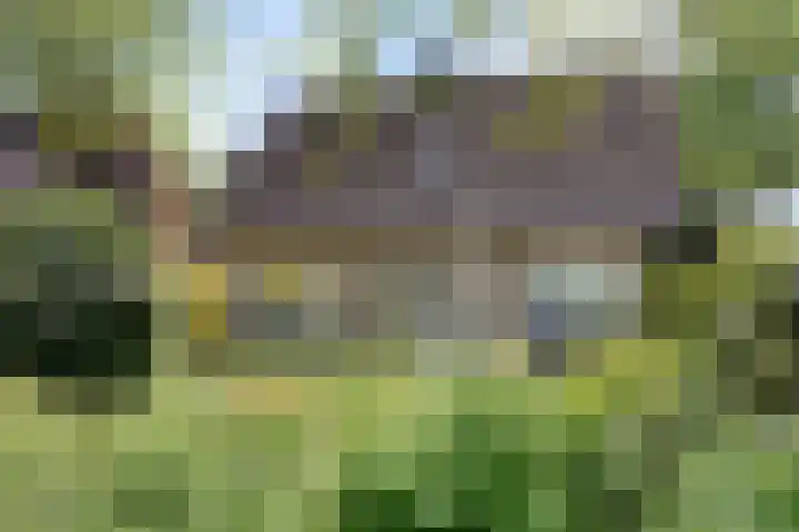 Vincent van Goghlaan 10 Meppel thumbnail 44