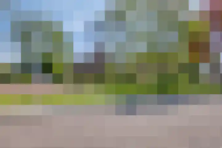 Vincent van Goghlaan 10 Meppel thumbnail 46