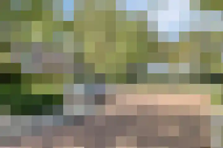 Vincent van Goghlaan 10 Meppel thumbnail 47