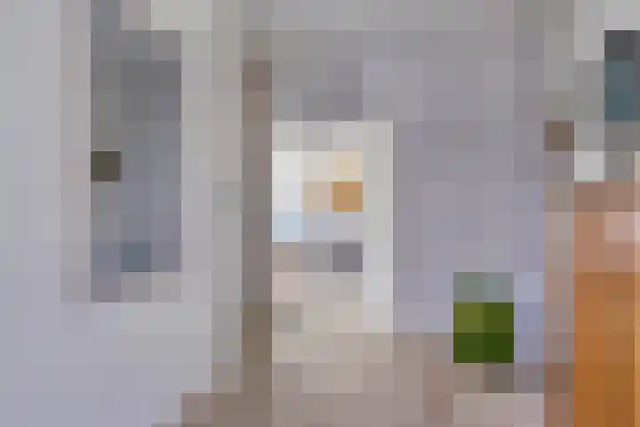 Vincent van Goghlaan 10 Meppel thumbnail 5