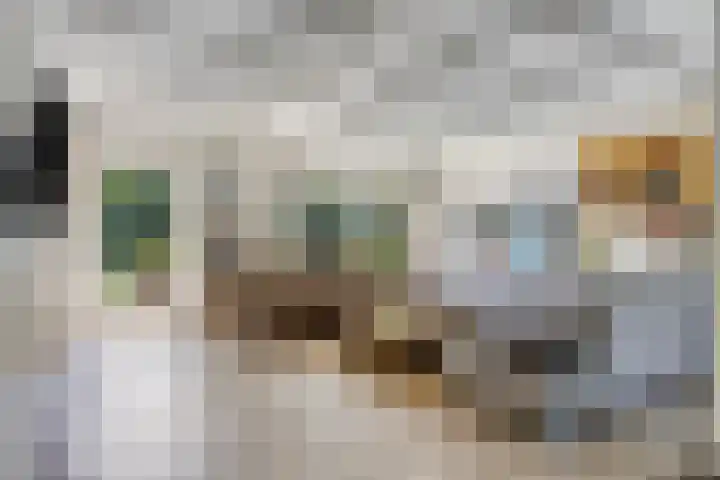 Vincent van Goghlaan 10 Meppel thumbnail 6
