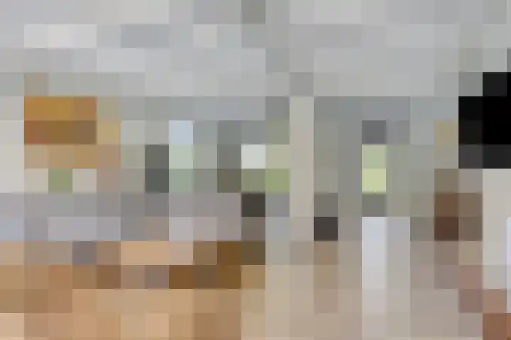 Vincent van Goghlaan 10 Meppel thumbnail 7