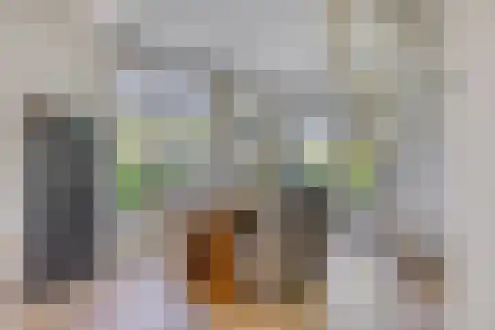 Vincent van Goghlaan 10 Meppel thumbnail 9
