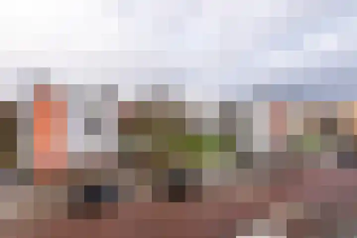 Vincent van Goghlaan 101 Haarlem thumbnail 10