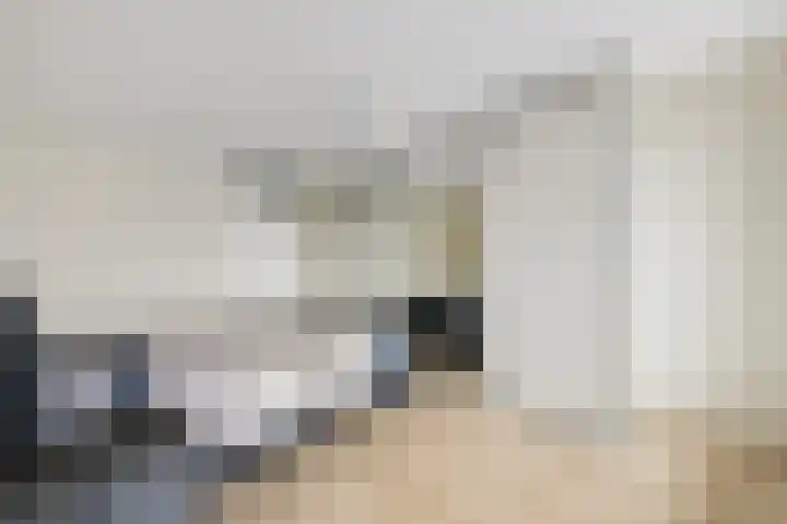 Vincent van Goghlaan 101 Haarlem thumbnail 11
