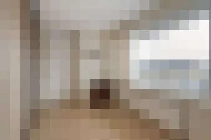 Vincent van Goghlaan 101 Haarlem thumbnail 14