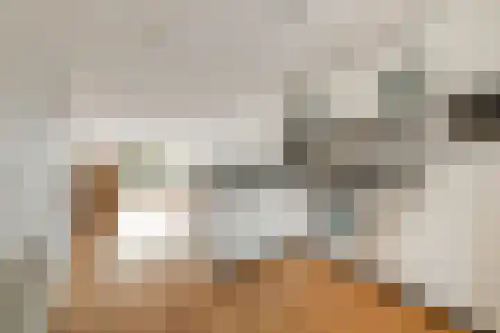 Vincent van Goghlaan 101 Haarlem thumbnail 5