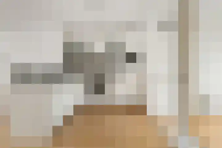 Vincent van Goghlaan 101 Haarlem thumbnail 6