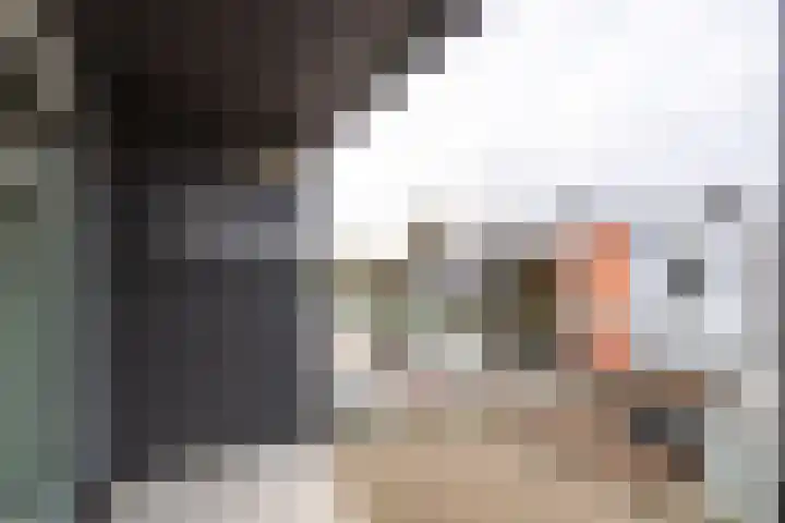 Vincent van Goghlaan 101 Haarlem thumbnail 7