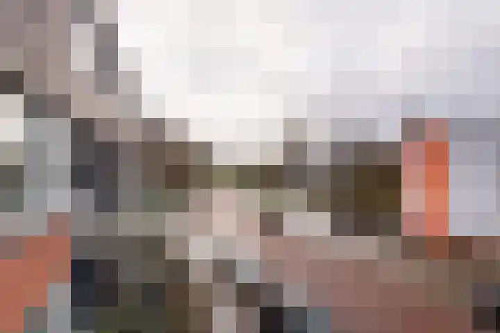 Vincent van Goghlaan 101 Haarlem thumbnail 9