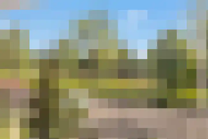 Vincent van Goghlaan 11 Schagen thumbnail 18