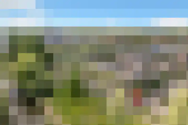 Vincent van Goghlaan 11 Schagen thumbnail 27