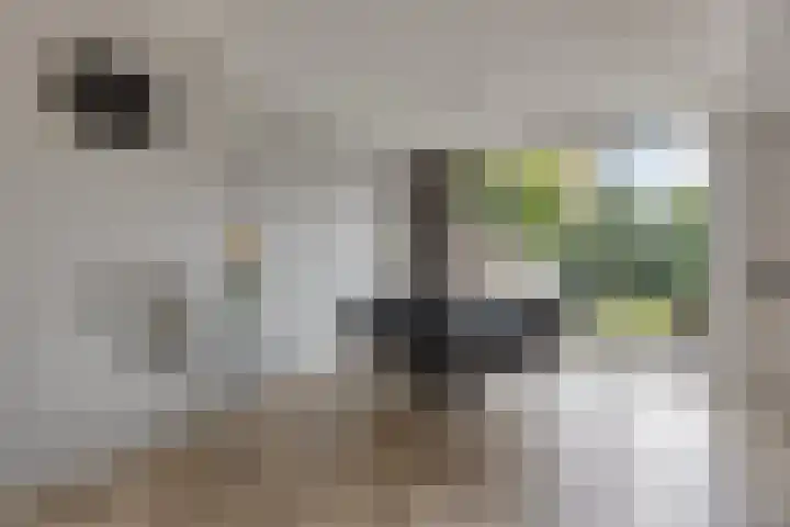 Vincent van Goghlaan 12 Rosmalen thumbnail 10