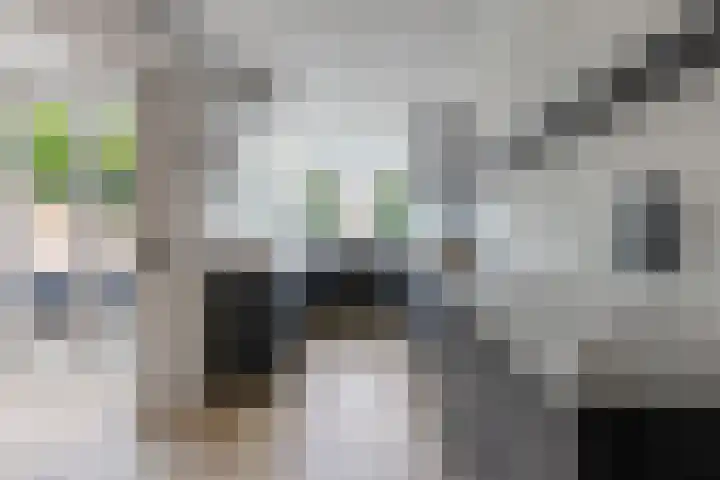 Vincent van Goghlaan 12 Rosmalen thumbnail 14