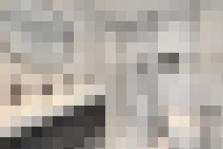 Vincent van Goghlaan 12 Rosmalen thumbnail 24