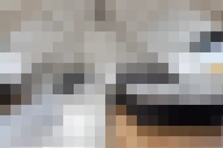 Vincent van Goghlaan 12 Rosmalen thumbnail 26