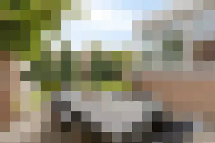 Vincent van Goghlaan 12 Rosmalen thumbnail 30
