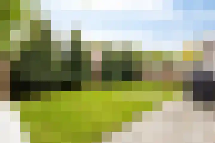 Vincent van Goghlaan 12 Rosmalen thumbnail 31