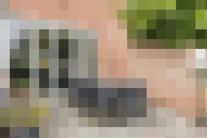 Vincent van Goghlaan 12 Rosmalen thumbnail 34