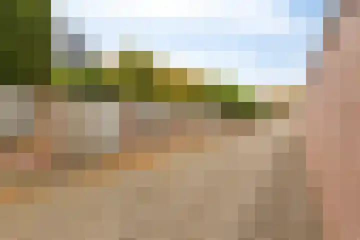 Vincent van Goghlaan 12 Rosmalen thumbnail 35