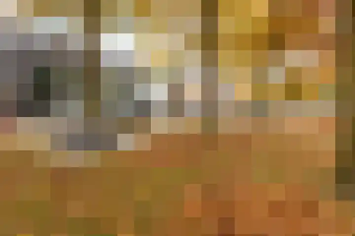Vincent van Goghlaan 12 Rosmalen thumbnail 37