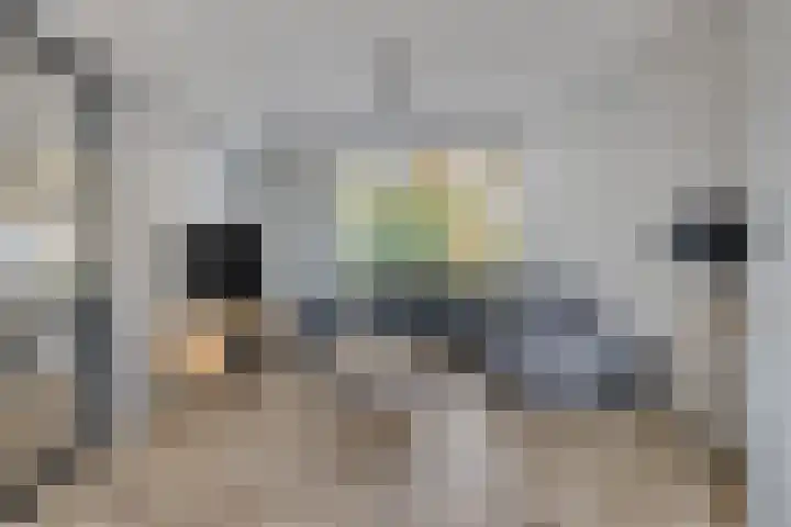Vincent van Goghlaan 12 Rosmalen thumbnail 8