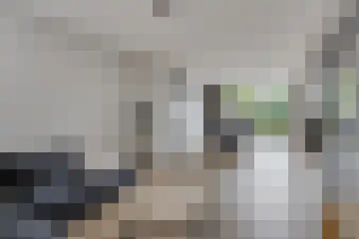 Vincent van Goghlaan 12 Rosmalen thumbnail 9