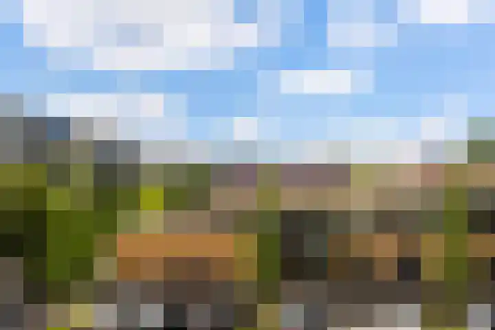 Vincent van Goghlaan 137 Maassluis thumbnail 30