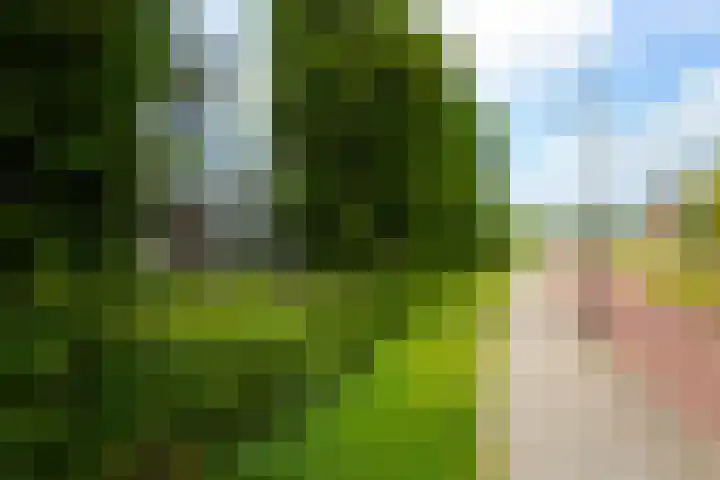Vincent van Goghlaan 137 Maassluis thumbnail 33