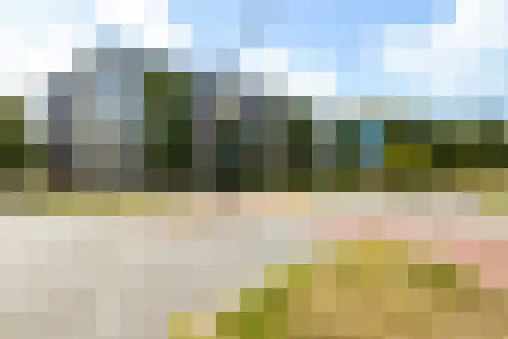 Vincent van Goghlaan 137 Maassluis thumbnail 36