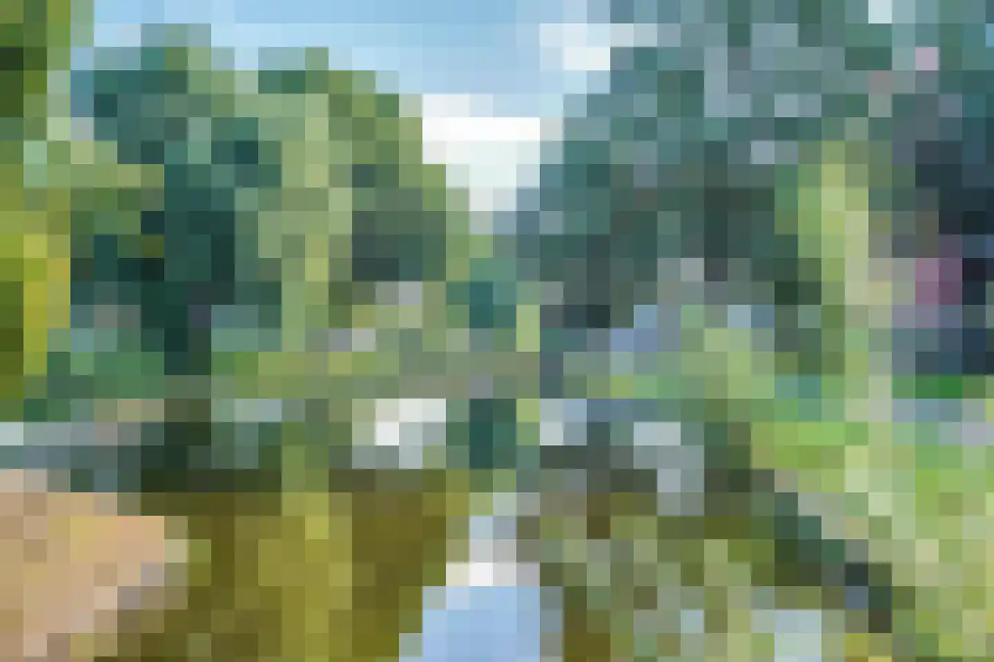 Vincent van Goghlaan 2 Krimpen aan den IJssel thumbnail 32