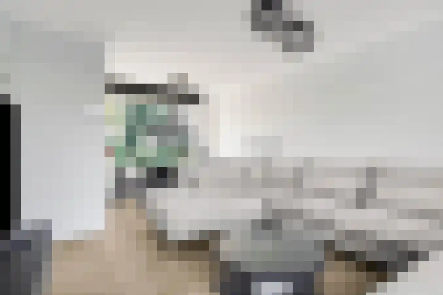 Vincent van Goghlaan 2 Krimpen aan den IJssel thumbnail 8