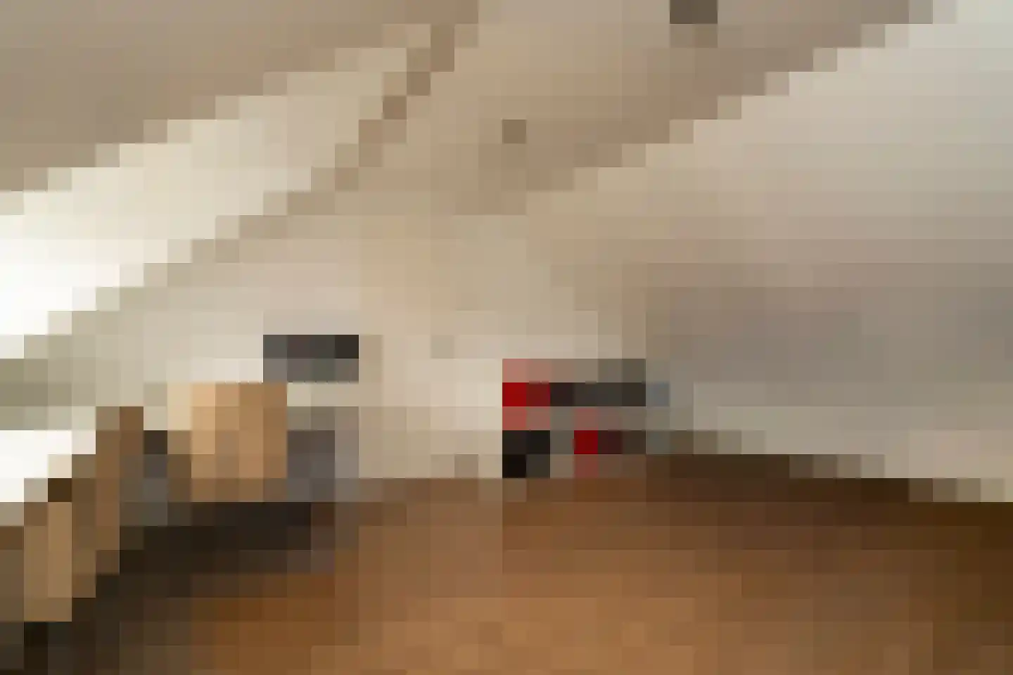 Vincent van Goghlaan 26 Berkel-Enschot thumbnail 32