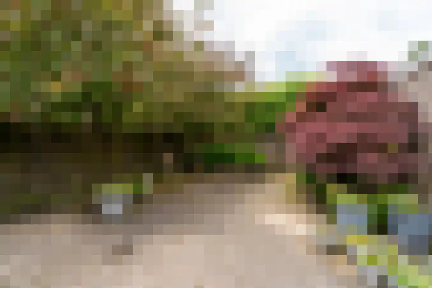Vincent van Goghlaan 26 Berkel-Enschot thumbnail 36