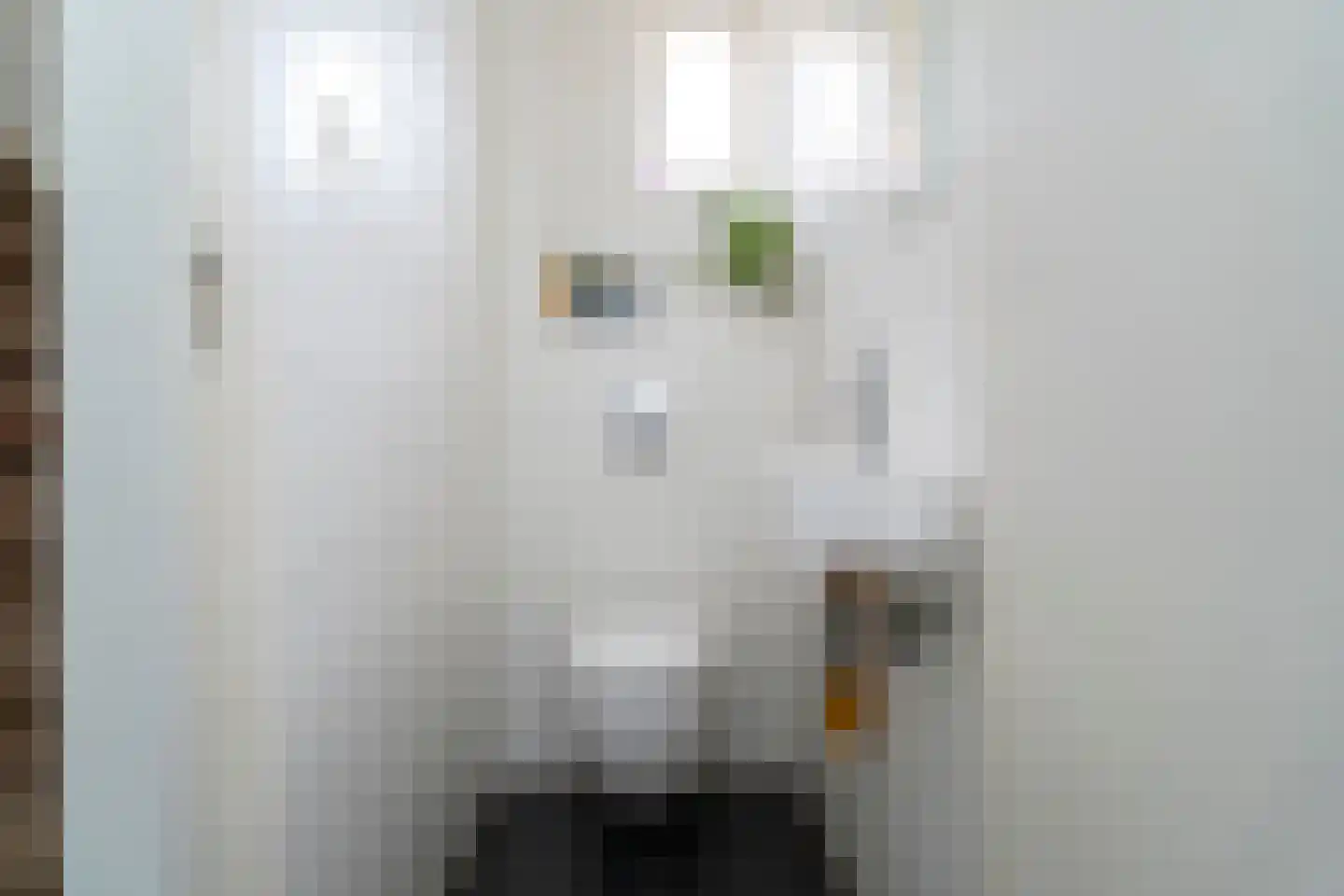 Vincent van Goghlaan 26 Berkel-Enschot thumbnail 8
